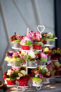 bloemen en planten vvbvanbree     1136